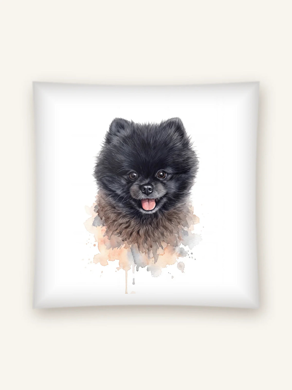 ais-pillow