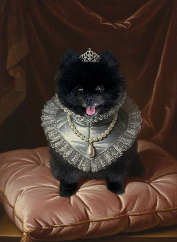 Spitz nain peint en La Reine, en robe de soie et diadème